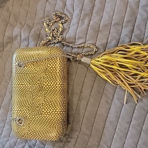 BCBG clutch or crossbody chain small bag